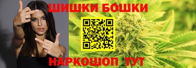 индика Будённовск