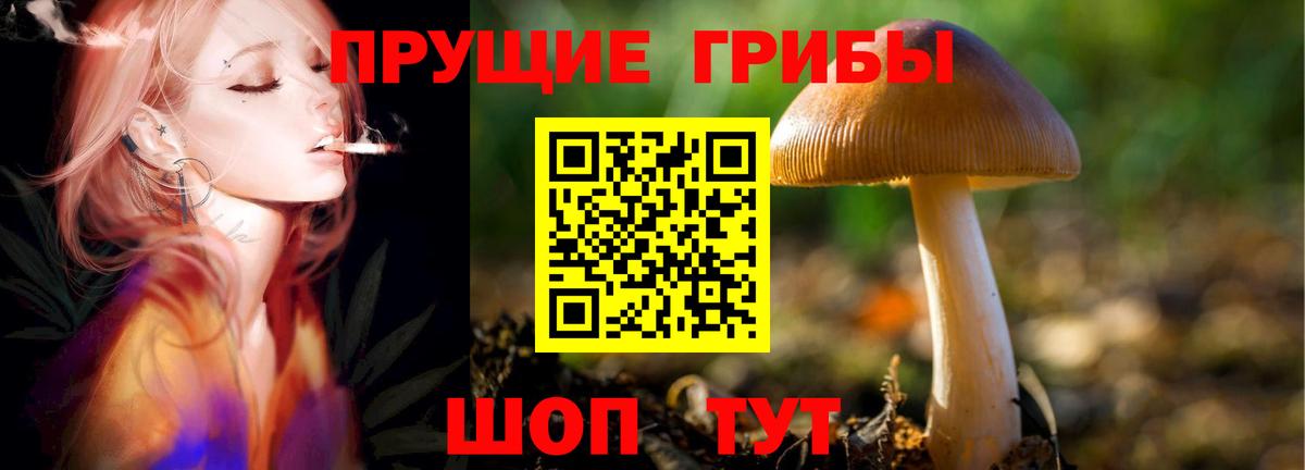Симферополь  Галлюциногенные грибы GOLDEN TEACHER  Вход с VPN 